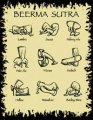 Beerma Sutra - The Love of Beer - Men's T-Shirt