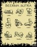 Beerma Sutra - The Love of Beer - Men's T-Shirt